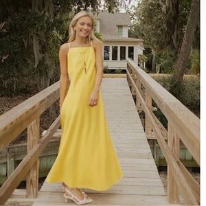 NWT Antonio Melani x Style by Simkins Natalie Drapey Cutout
Maxi Dress